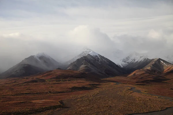 Krajina Kolem Ulice Denali National Park Aljaška Usa — Stock fotografie