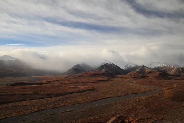 Національний Парк Деналі Аляска Сша — стокове фото