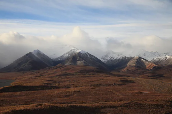 Paisagem Torno Rua Denali Denali National Park Alaska Eua — Fotografia de Stock