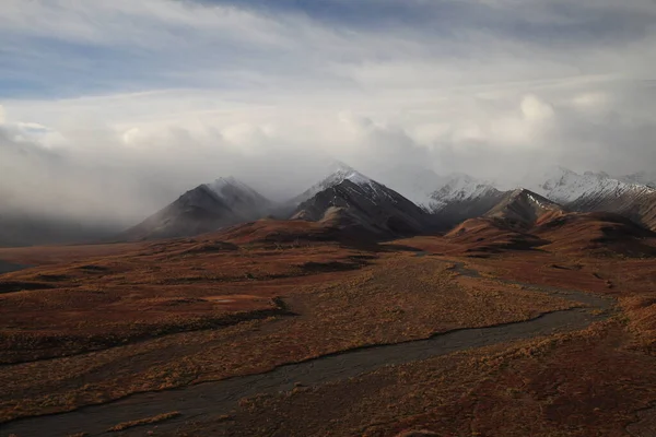 Landschaft Die Denali Straße Denali National Park Alaska Usa — Stockfoto