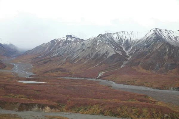 Krajina Kolem Ulice Denali National Park Aljaška Usa — Stock fotografie