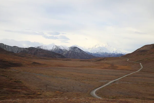 Krajina Kolem Ulice Denali National Park Aljaška Usa — Stock fotografie