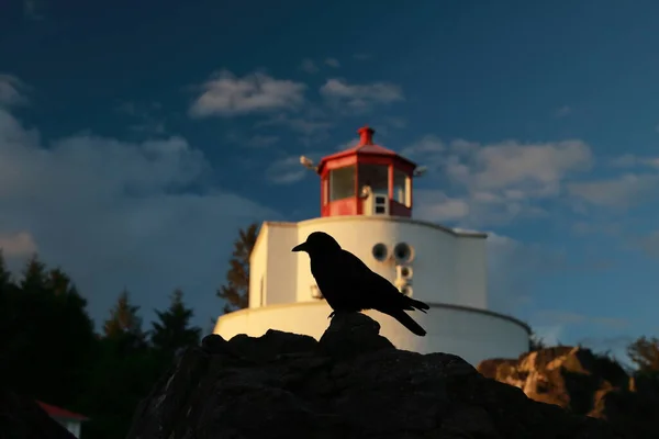 Amphitrite Point Világítótorony Közel Uclulelet Vancouver Sziget Brit Columbia — Stock Fotó