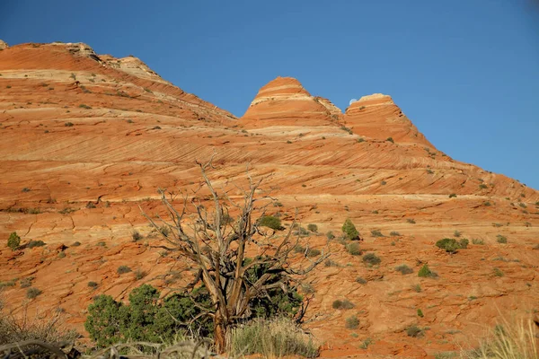 Formaciones Rocosas Las Buttes Del Coyote Norte Parte Del Monumento — Foto de Stock