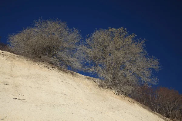 Moens Klint Alto Acantilado Piedra Caliza Costa Este Dinamarca — Foto de Stock