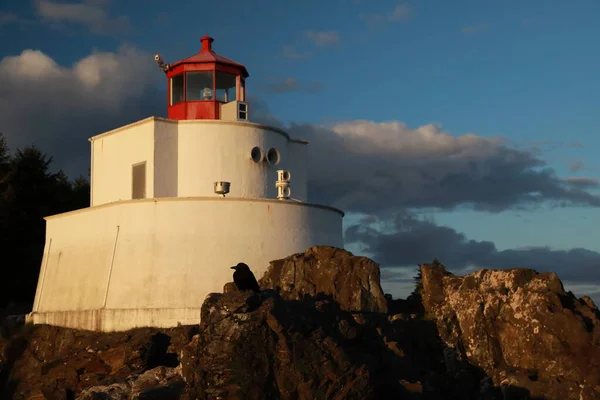 Phare Amphitrite Point Près Uclulelet Île Vancouver Colombie Britannique — Photo