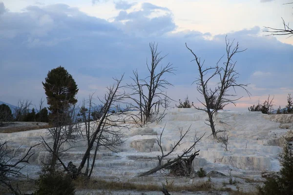 Travertin Terrasse Bei Mammoth Hot Springs Yellowstone National Park Wyoming — Stockfoto