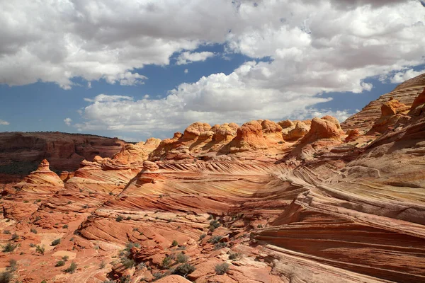 Rock Formations North Coyote Buttes Part Vermilion Cliffs National Monument — 스톡 사진