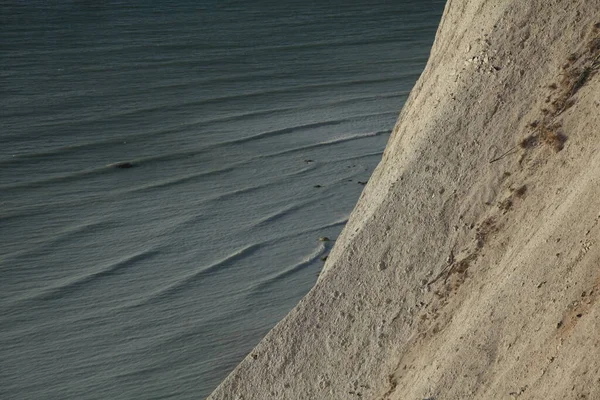 デンマークの東海岸にある高い石灰岩の崖であるMoens Klint — ストック写真