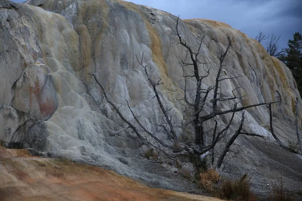 Travertinová Terasa Mammoth Hot Springs Yellowstone National Park Wyoming — Stock fotografie