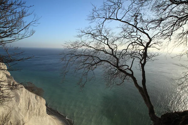 Moens Klint Haute Falaise Calcaire Sur Côte Est Danemark — Photo