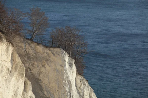 Moens Klint Hoge Kalksteenklif Aan Oostkust Van Denemarken — Stockfoto