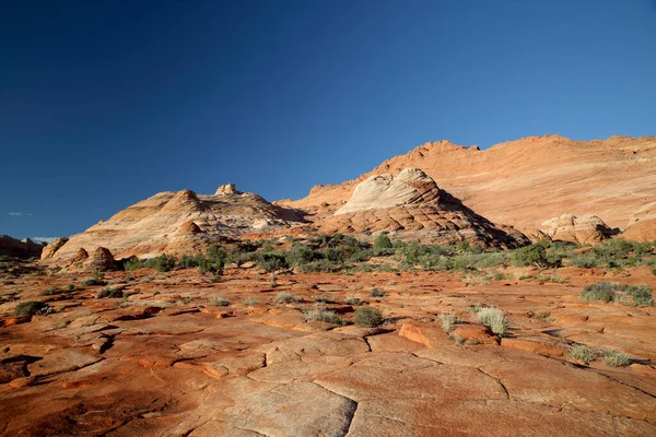 Rock Formations North Coyote Buttes Part Vermilion Cliffs National Monument — Stock Photo, Image