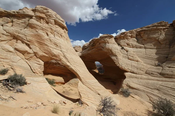 Rock Formations North Coyote Buttes Part Vermilion Cliffs National Monument — Stok fotoğraf