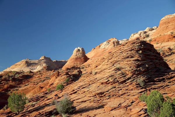 Rock Formations North Coyote Buttes Part Vermilion Cliffs National Monument — 스톡 사진