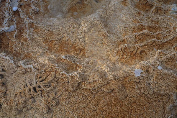 Travertin Terasz Mammoth Hot Springs Ben Yellowstone Nemzeti Parkban Wyoming — Stock Fotó