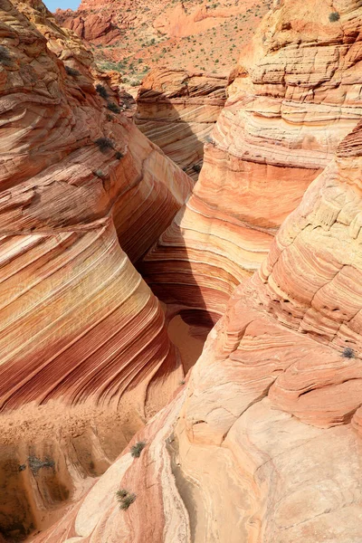 Kőképződmények Észak Coyote Buttes Ban Vermilion Sziklák Nemzeti Emlékmű Része — Stock Fotó