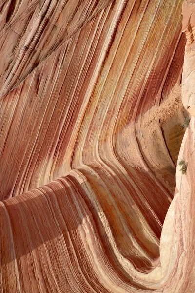 Formacje Skalne North Coyote Buttes Część Vermilion Cliffs National Monument — Zdjęcie stockowe