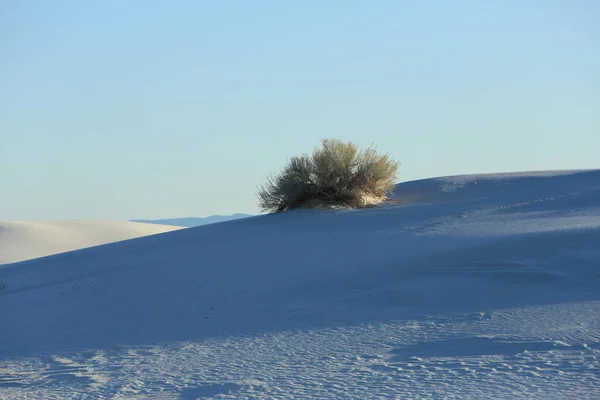 White Sands National Monument New Mexico — Stock Photo, Image