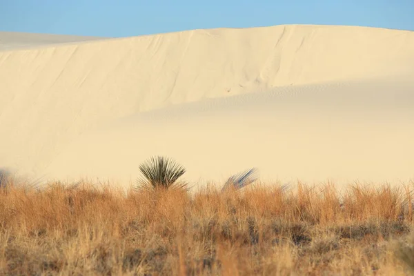 Nationaal Monument White Sands New Mexico — Stockfoto