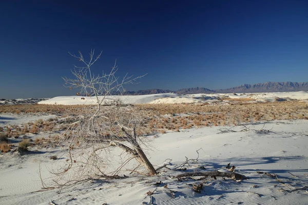 Monumento Nacional White Sands Novo México — Fotografia de Stock
