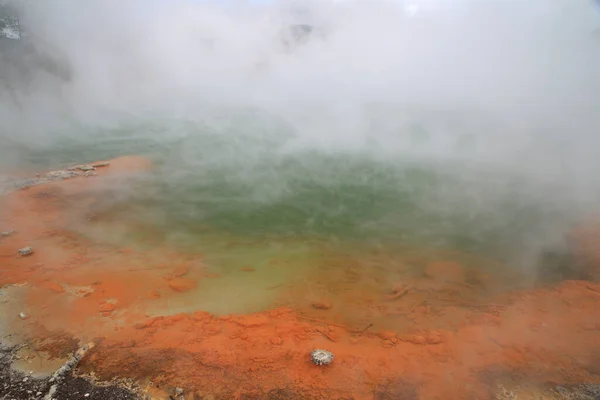 Egyedülálló Gőzölgő Tavaszi Pezsgőfürdő Wai Tapu Geotermikus Területen Rotorua Zéland — Stock Fotó