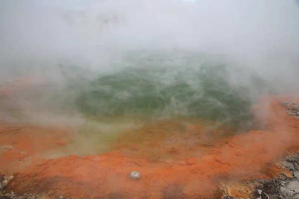 Egyedülálló Gőzölgő Tavaszi Pezsgőfürdő Wai Tapu Geotermikus Területen Rotorua Zéland — Stock Fotó