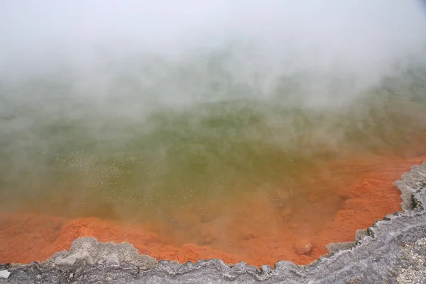 Egyedülálló Gőzölgő Tavaszi Pezsgőfürdő Wai Tapu Geotermikus Területen Rotorua Zéland — Stock Fotó