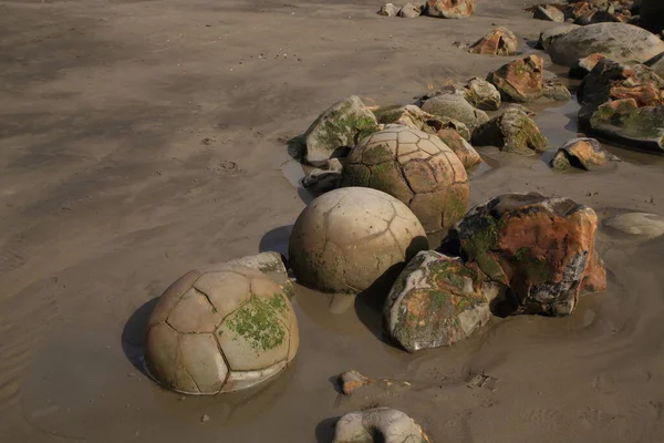 Moeraki Boulders Koekohe Beach Узбережжі Отаго Південному Острові Нової Зеландії — стокове фото