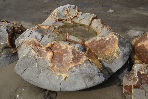 Moeraki Boulders Koekohe Beach Узбережжі Отаго Південному Острові Нової Зеландії — стокове фото