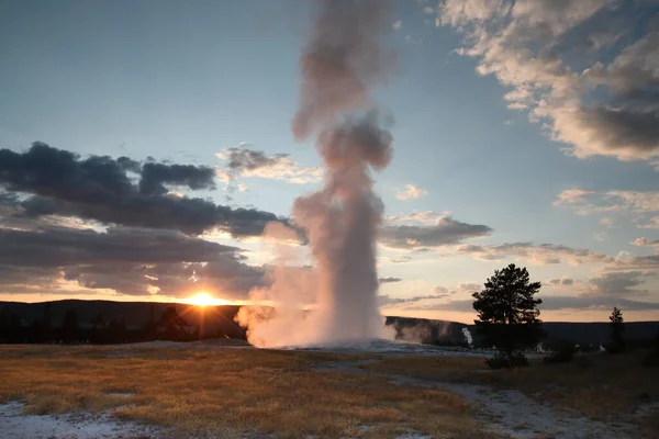 Errupting Old Faithful Geyser Nel Parco Nazionale Yellowstone — Foto Stock