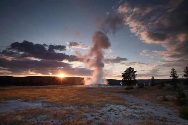 Errupting Old Faithful Geyser Parque Nacional Yellowstone —  Fotos de Stock