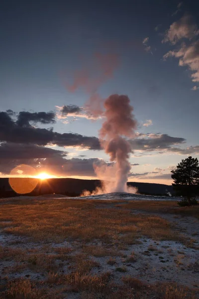 Errupting Old Faithful Geyser Nel Parco Nazionale Yellowstone — Foto Stock