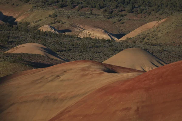 Painted Hills John Day Fossil Leds National Monument Mitchell City — Stock fotografie
