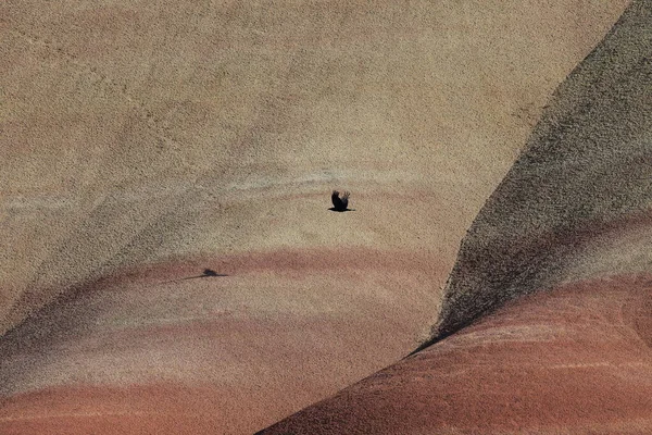 Painted Hills John Day Fossil Leds National Monument Mitchell City — Stock fotografie