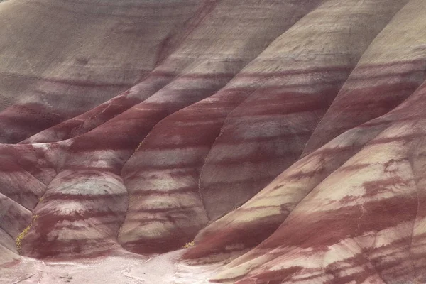 Geschilderde Heuvels Het John Day Fossil Bededs National Monument Mitchell — Stockfoto