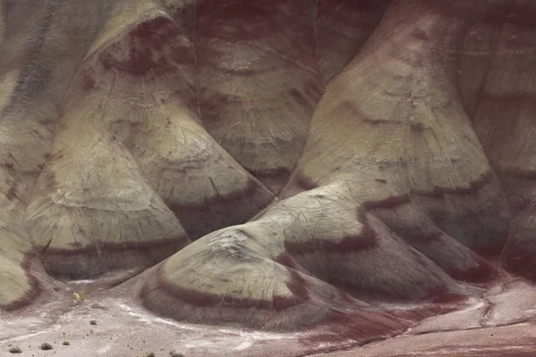 Painted Hills John Day Fossil Beds National Monument Mitchell City — Photo