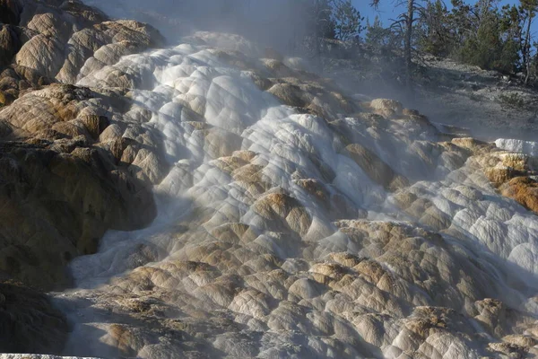 Mammoth Hot Springs Στο Εθνικό Πάρκο Yellowstone Γουαϊόμινγκ — Φωτογραφία Αρχείου