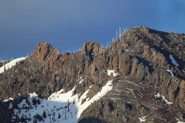 Árvores Achatadas Por Erupção Monte Helens Monumento Nacional Vulcânico Estado — Fotografia de Stock