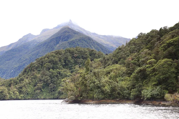 Wątpliwy Dźwięk Fiordland Południowym Zachodzie Nowej Zelandii — Zdjęcie stockowe