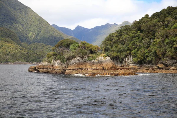 纽西兰最西南方的Fiordland的怀疑之声 — 图库照片