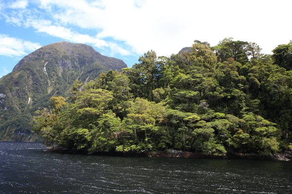 Doubtful Sound Fiordland Far South West New Zealand — Stock Photo, Image