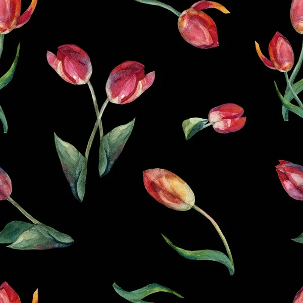Akwarela Różnych Duże Czerwone Tulipany Wzór Czarnym Tle — Zdjęcie stockowe