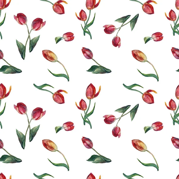 Akvarelu Různé Malé Červené Tulipány Bezproblémové Vzor Bílém Pozadí — Stock fotografie