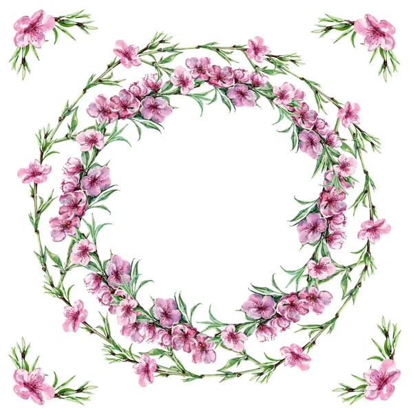 Watercolor blossoming peach. Illustration of wreath for design.