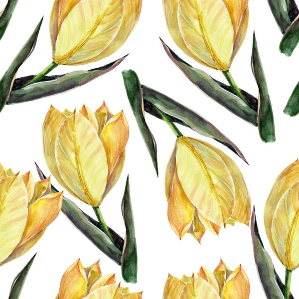 Acuarela Tulipanes Amarillos Sobre Fondo Blanco Patrón Sin Costura — Foto de Stock
