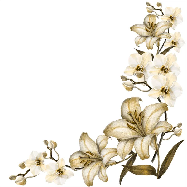 Lys Blanc Coin Orchidée Illustration Florale — Photo