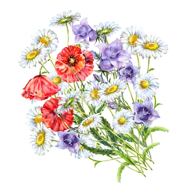 水彩花束野生の花ポピー カモミールとベルの花 白い背景の上の図 — ストック写真