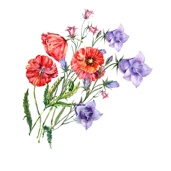 花束青いホタルブクロと赤ケシ 水彩イラスト — ストック写真