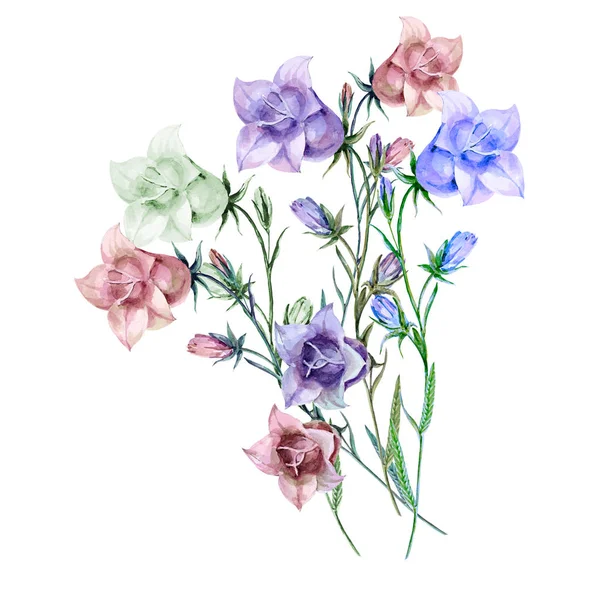 Akvarell Bukett Färgglad Bell Blommor Illustration För Design — Stockfoto